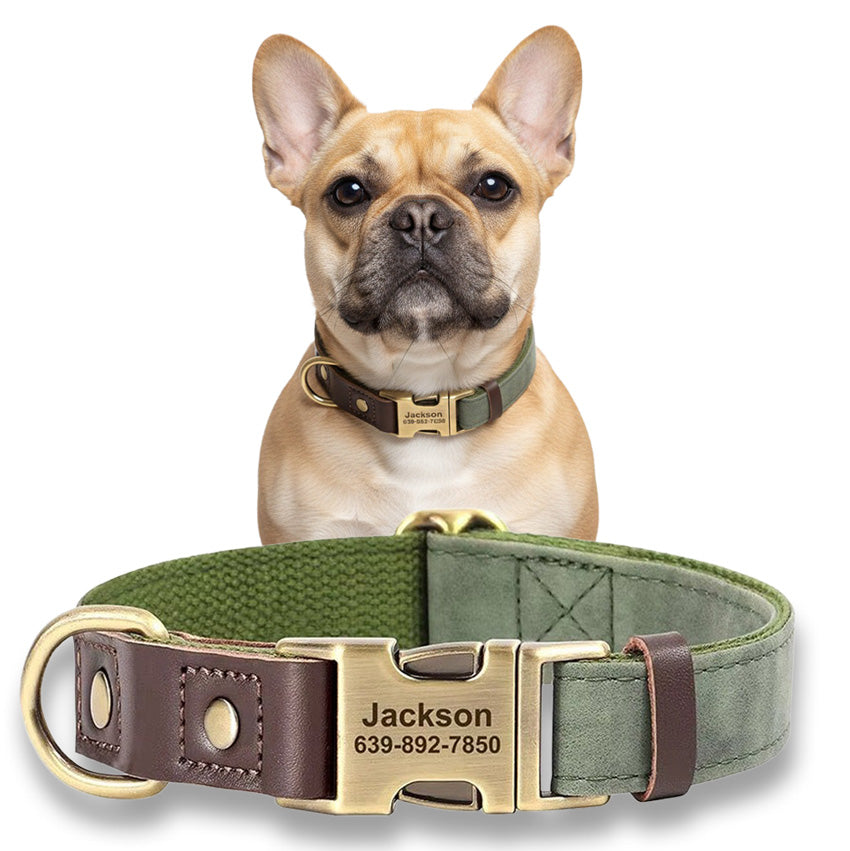 Köpek Tasması  İsimli Boyun Tasma 049141