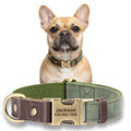 Köpek Tasması  İsimli Boyun Tasma 049141