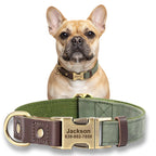 Köpek Tasması  İsimli Boyun Tasma 049141