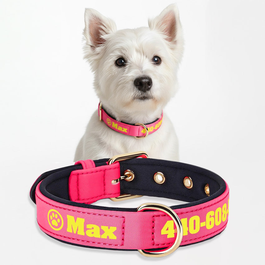 Köpek Tasması İsimli Yastıklı 44500