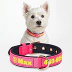 Köpek Tasması İsimli Yastıklı 44500