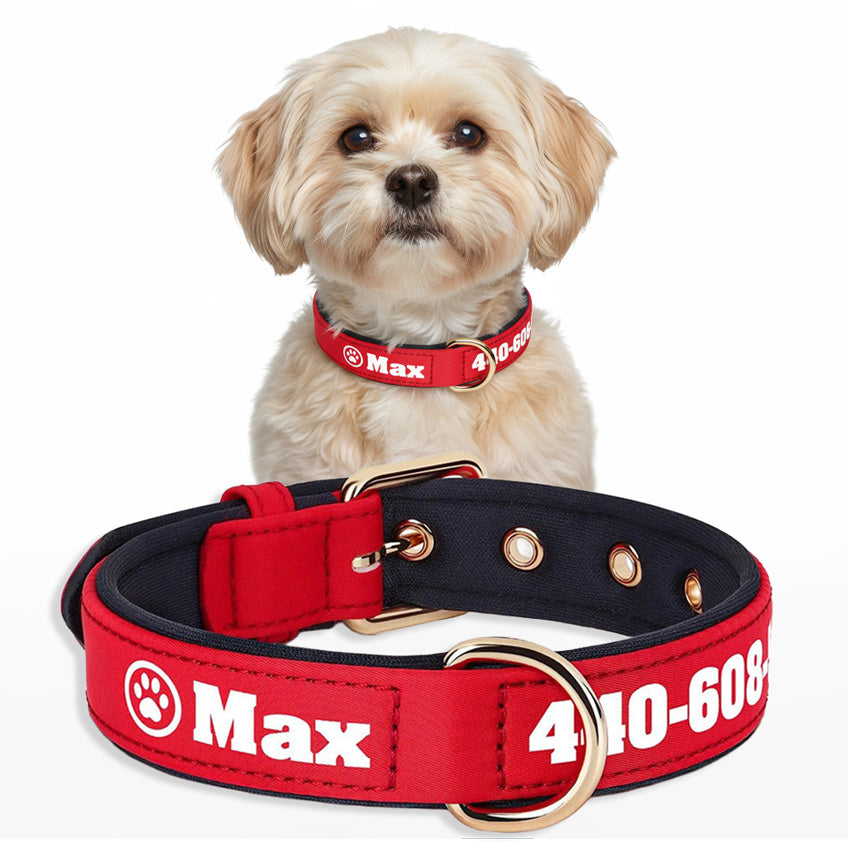 Köpek Tasması İsimli Yastıklı 44500