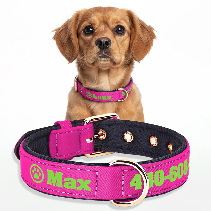 Köpek Tasması İsimli Yastıklı 44500