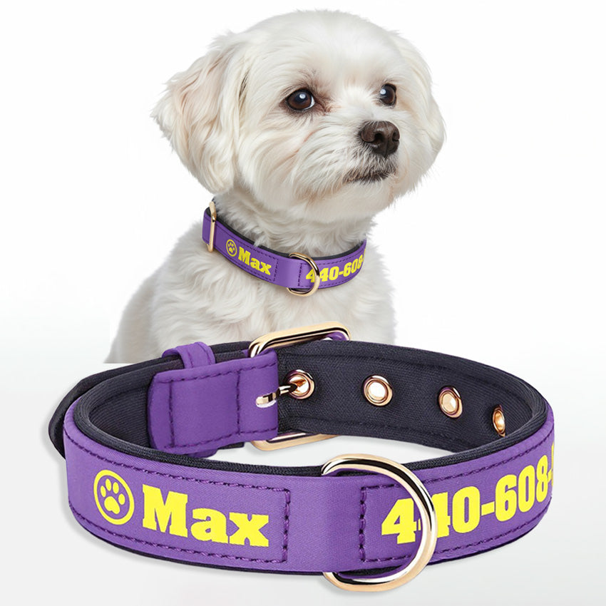 Köpek Tasması İsimli Yastıklı 44500