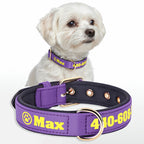 Köpek Tasması İsimli Yastıklı 44500