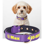 Köpek Tasması İsimli Yastıklı 44500