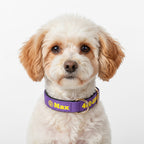 Köpek Tasması İsimli Yastıklı 44500