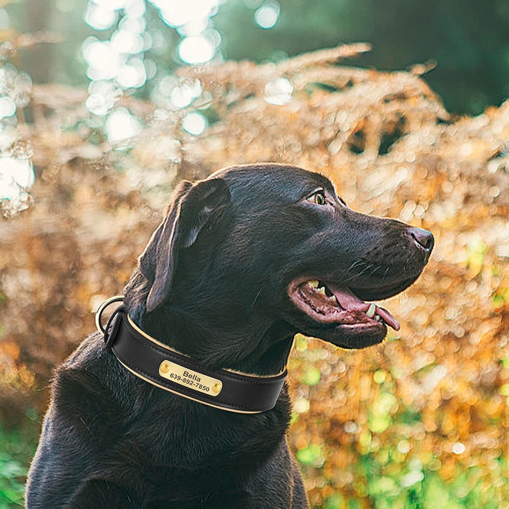 Köpek Tasması isimli Deri Tasma 72604