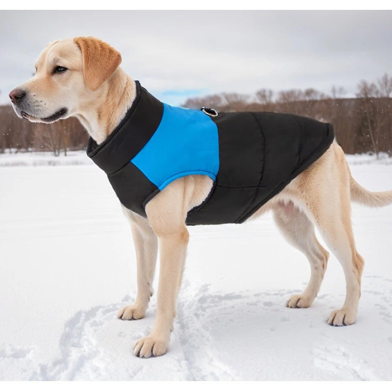 Köpek Yağmurluk Ceket 77349