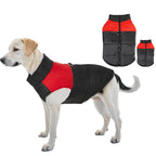 Köpek Yağmurluk Ceket 77349