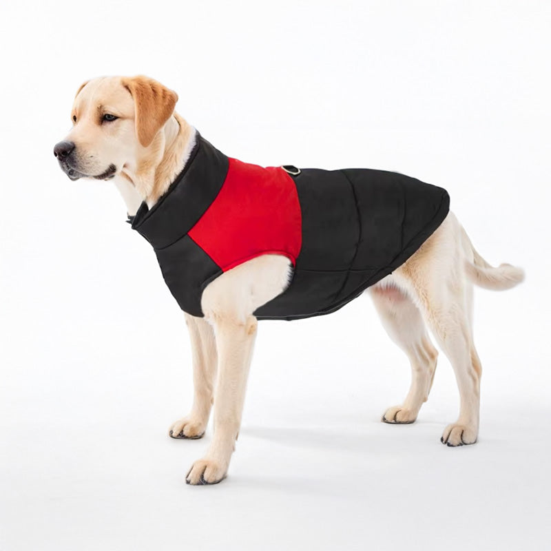 Köpek Yağmurluk Ceket 77349