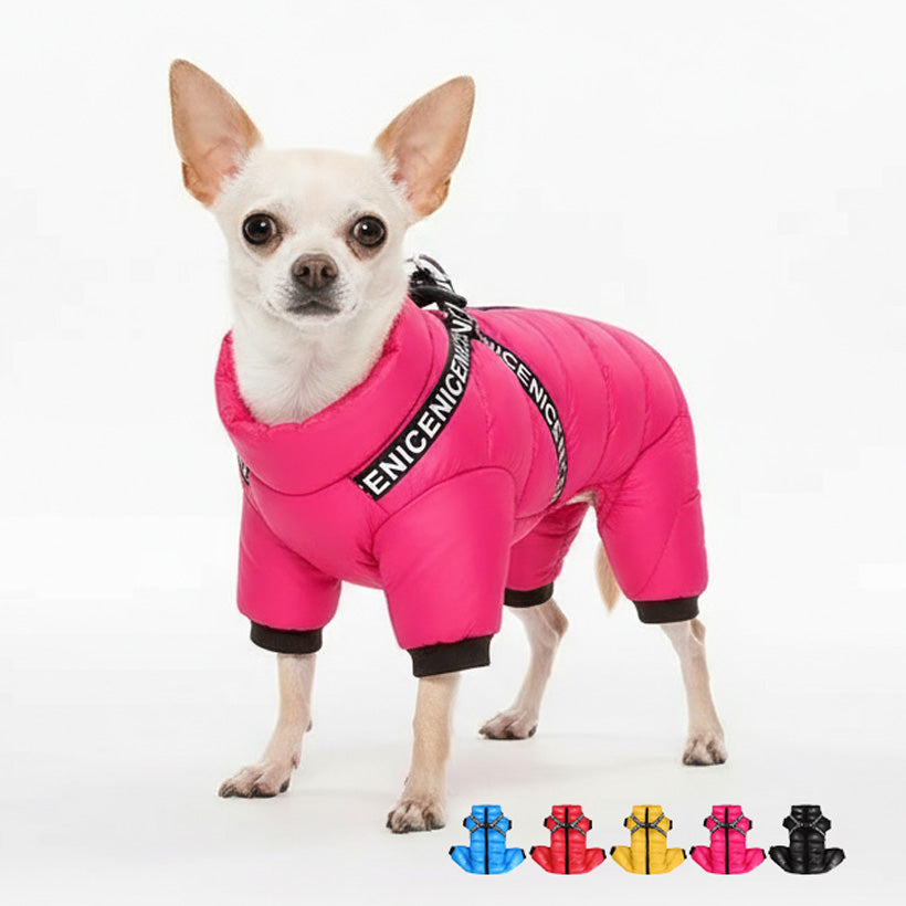 Köpek Yağmurluk Mont Tulum 65032