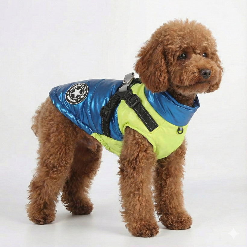 Köpek Yağmurluk 16843546