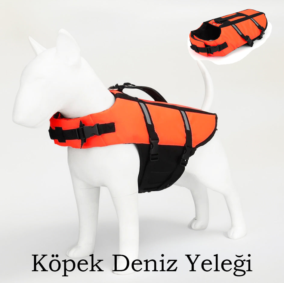 Köpek Can Yeleği Yüzme Yeleği 82430