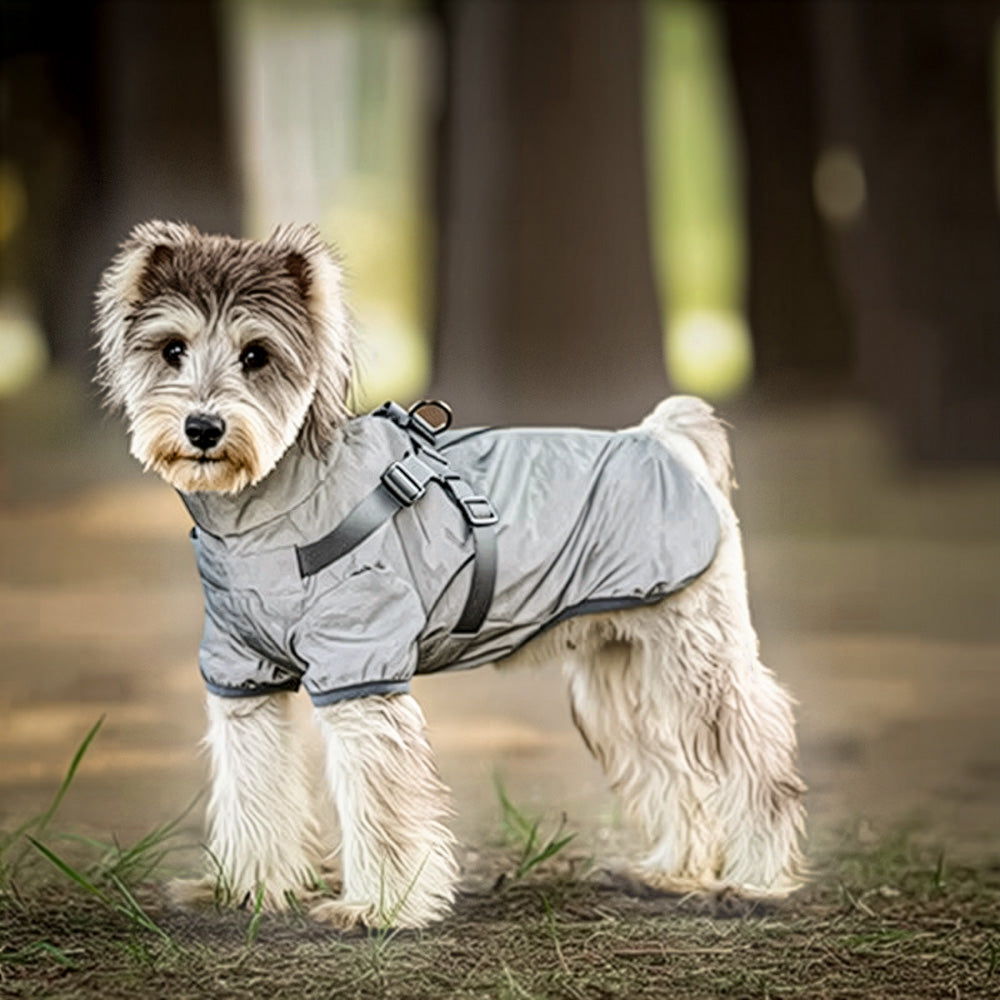 Köpek yağmurluk tasma 70488