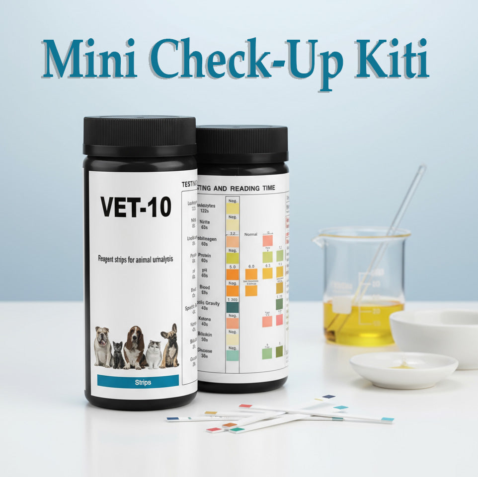 Mini Check-Up Kiti (100’lü Paket) 34219