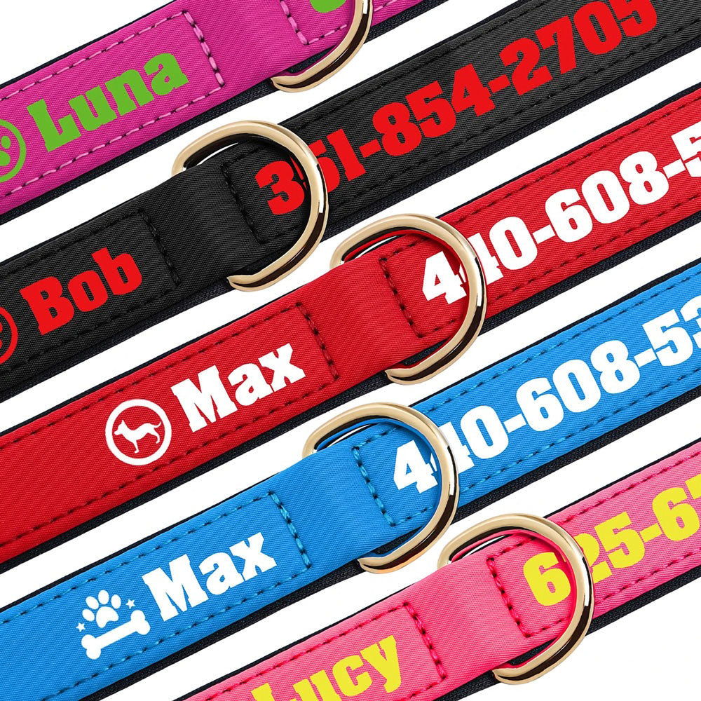 Köpek Tasması İsimli Yastıklı 44500