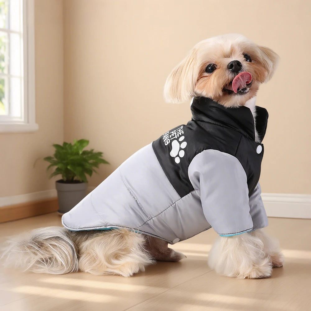 Köpek Yağmurluk 54528
