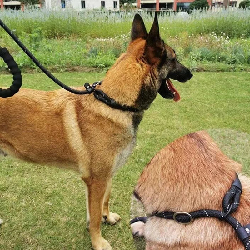 Reflektörlü Köpek Gezdirme Kayışı 03422