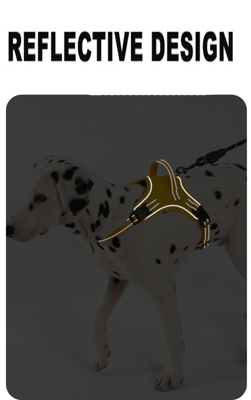 Köpek Göğüs Tasması 06725