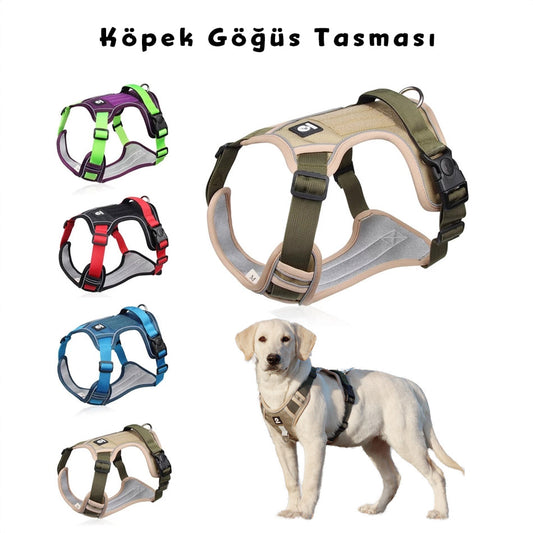 Köpek Göğüs Tasması Yansıtıcı Şeritli 51005989