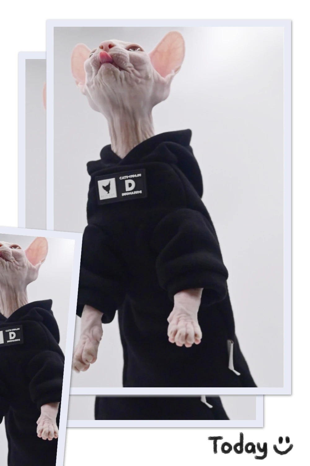 Siyah Kapüşonlu Kedi Sweatshirt Pamuklu Kışlık Kedi Kıyafeti 67961