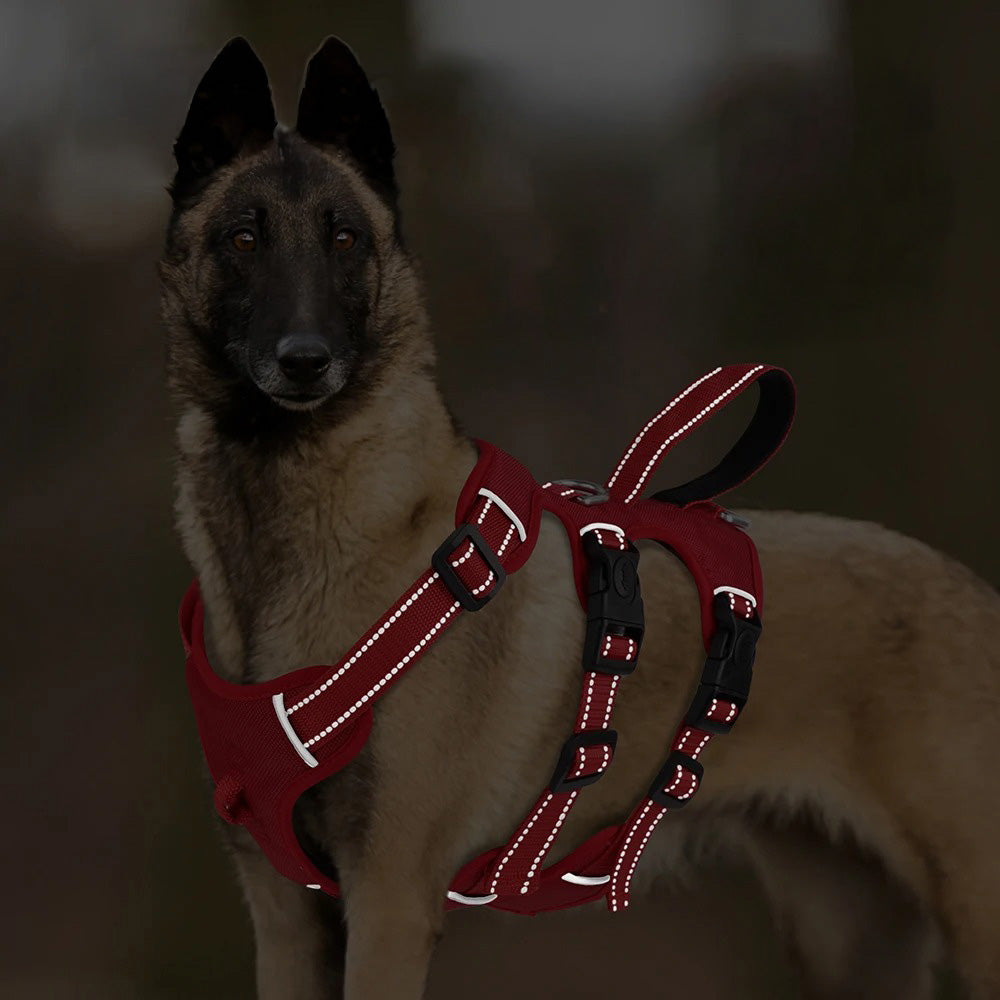 Köpek Göğüs Tasması Yansıtıcı Güçlü Kontrol Taktik Gövde Tasması 44073950