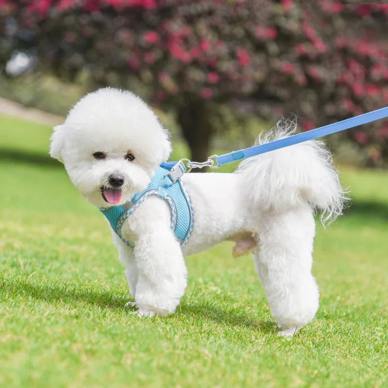 Köpek Göğüs Tasması ve Gezdirme Kayışı Seti 89194