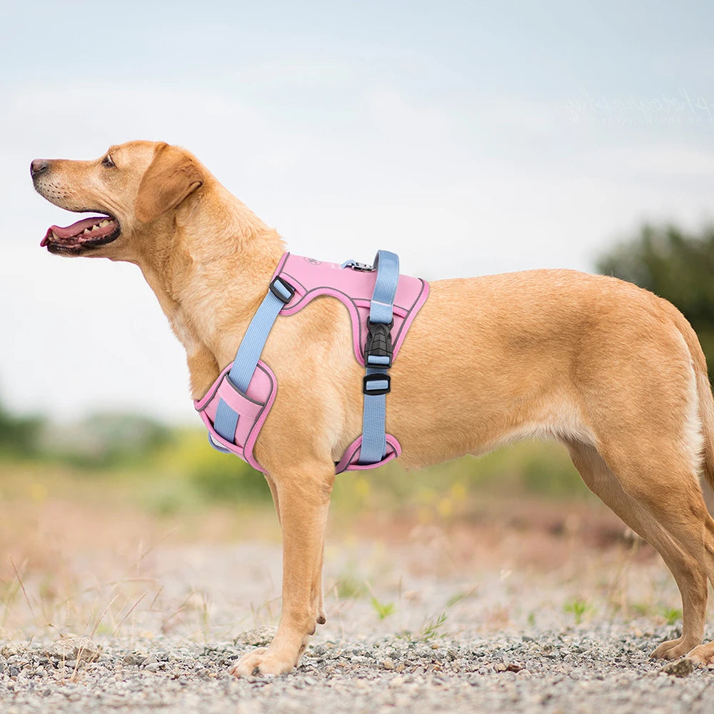 Köpek Göğüs Tasması Reflective Nefes Alabilir 73232