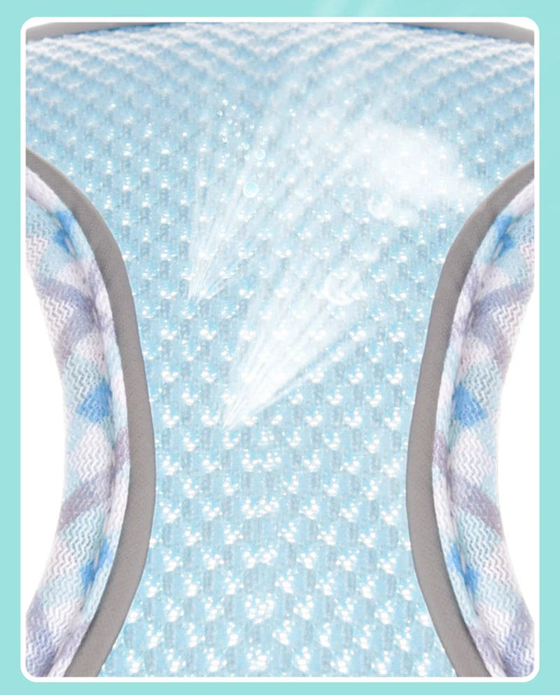 Köpek Göğüs Tasması ve Gezdirme Kayışı Seti 89194