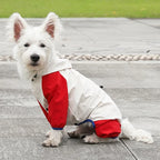Köpek Yağmurluk Tulum 72617