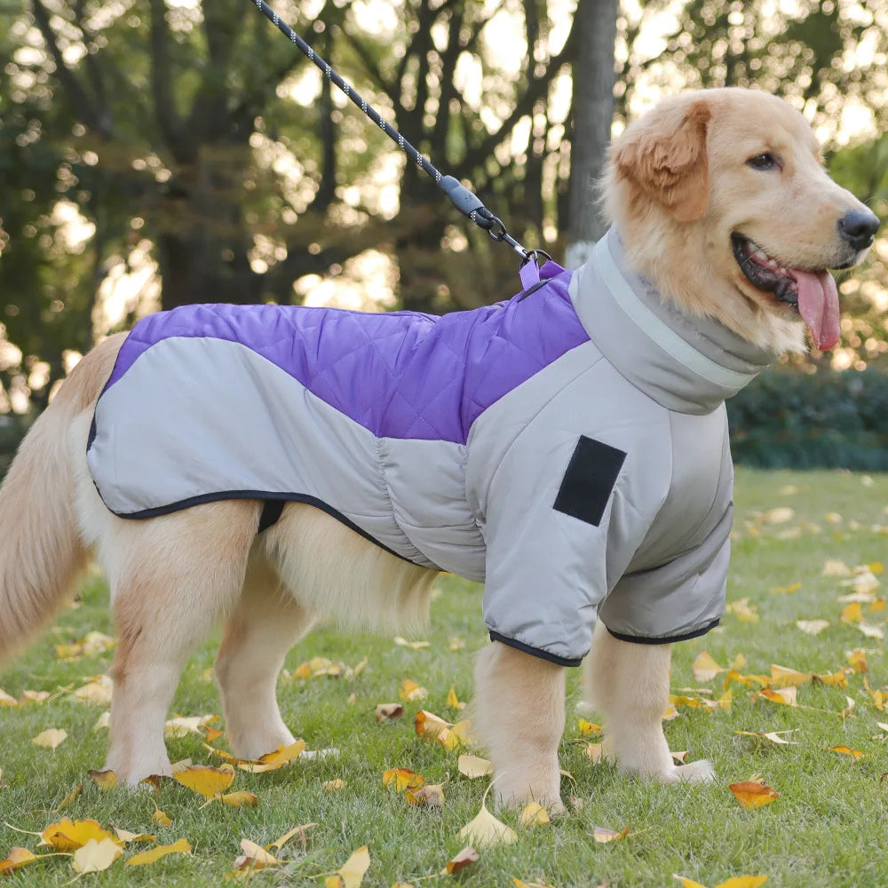 Köpek Yağmurluk 20016029