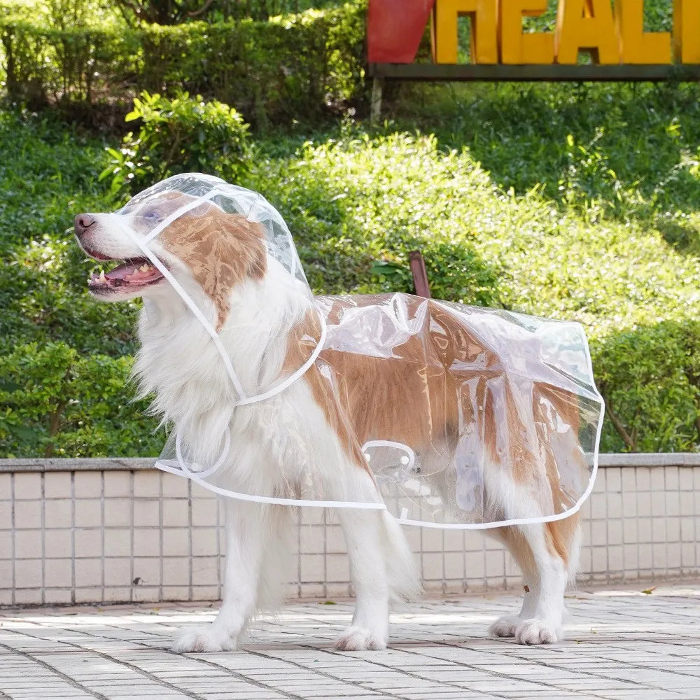 Köpek Yağmurluk Kolay Kullanım 81054
