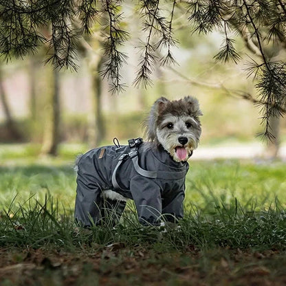 Köpek Yağmurluk Tulum