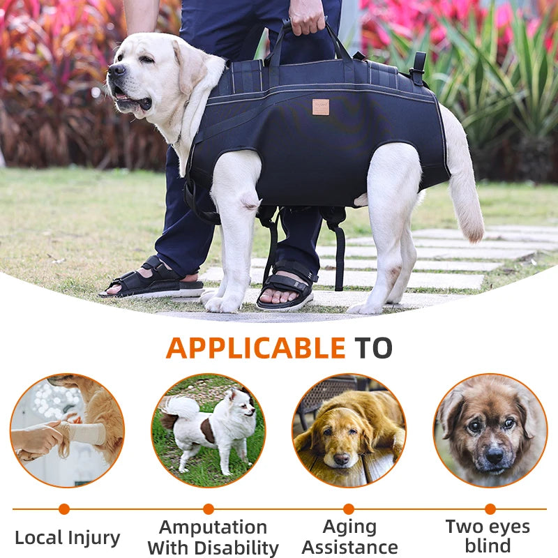 Köpek Taşıma Çantası 05889