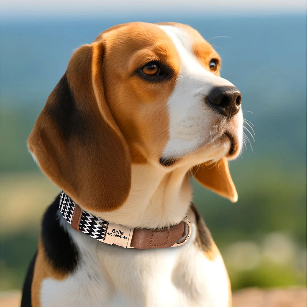 İsimli Köpek Tasması İsimli Deri Boyun Tasması 