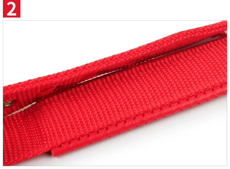 Köpek Tasması 96108