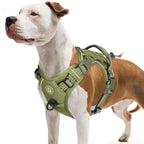 Köpek Göğüs Tasması Yansıtıcı 29189