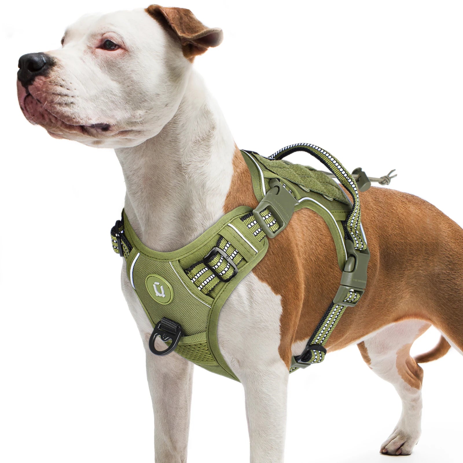 Köpek Göğüs Tasması Yansıtıcı 29189