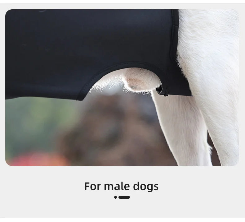 Köpek Taşıma Çantası 05889