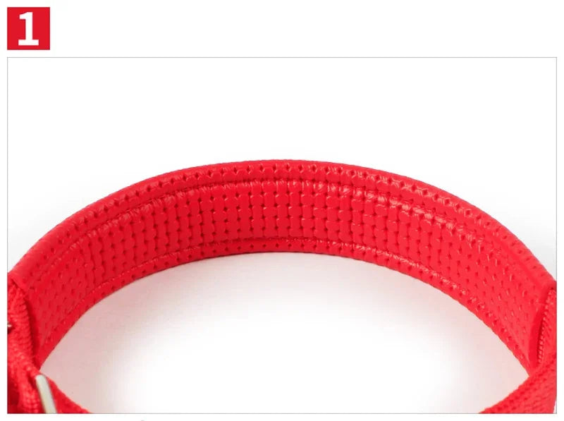 Köpek Tasması 96108