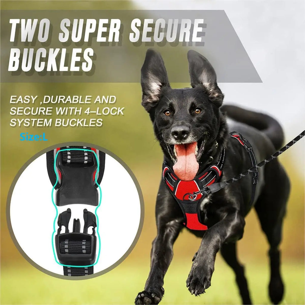 Köpek Göğüs Tasması 78958