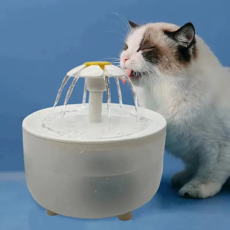 Kedi Su Kabı 95118