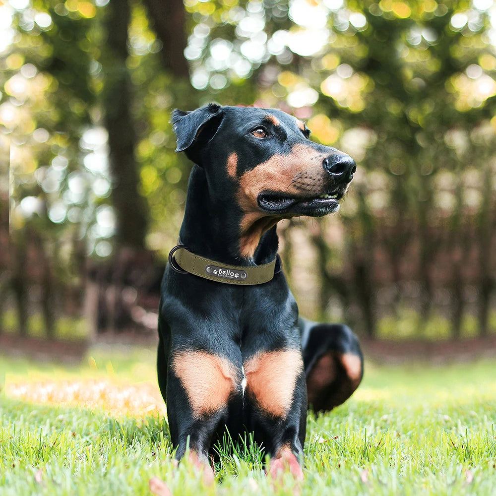 Köpek Tasması isimli Deri Tasma 43874