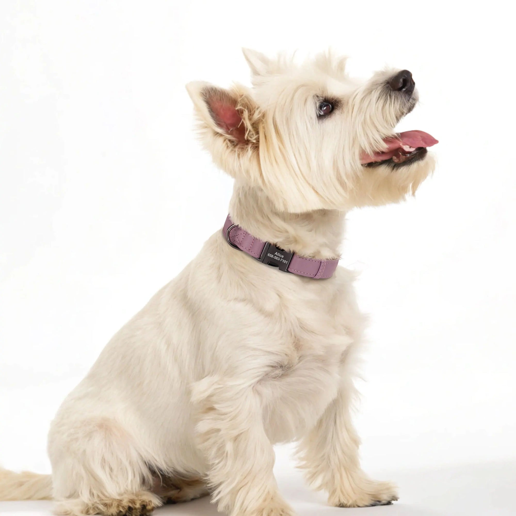 İsimli Deri Köpek Tasması 54377