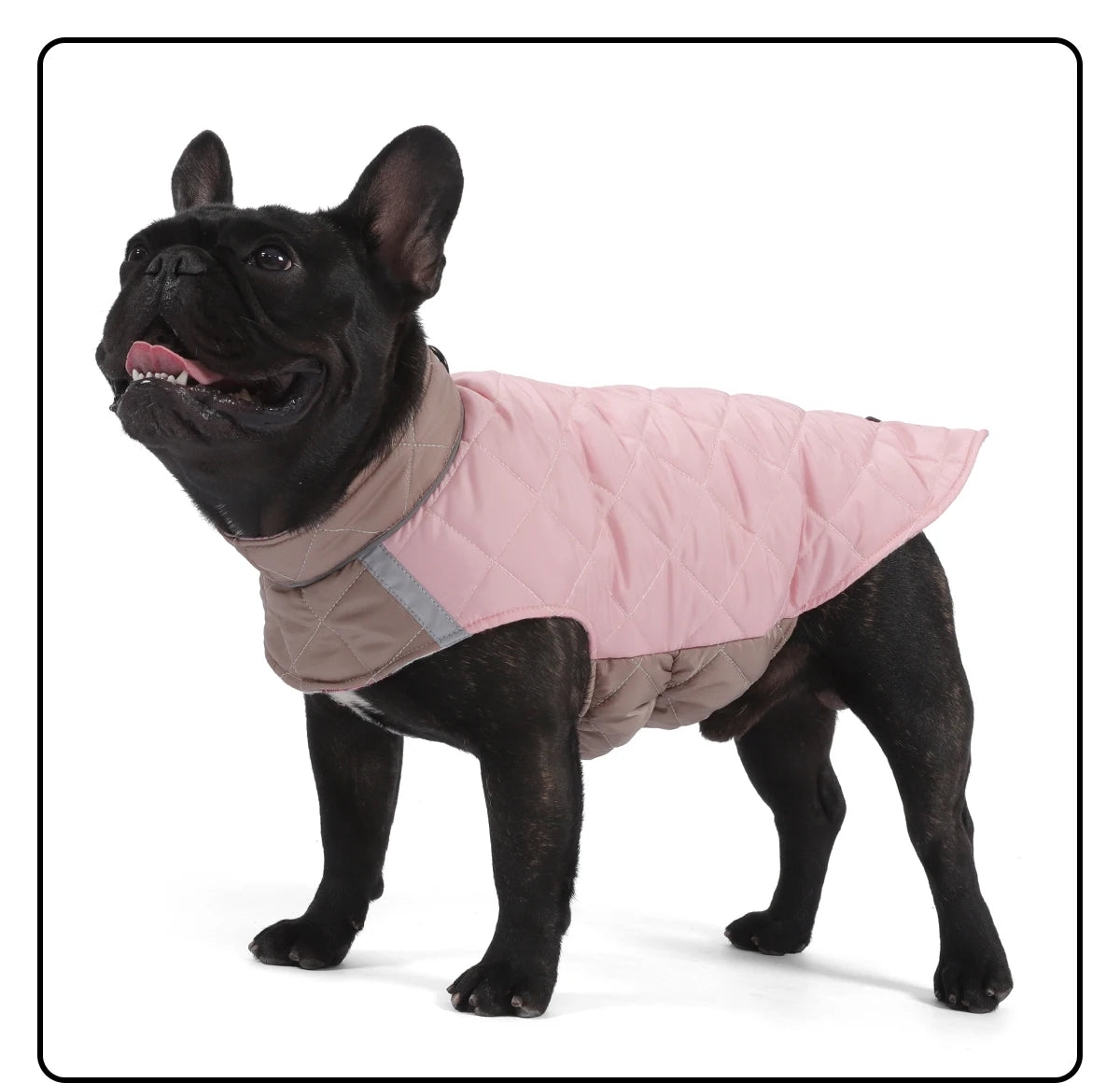 Köpek Yağmurluğu Çift Taraflı Reflective 79528