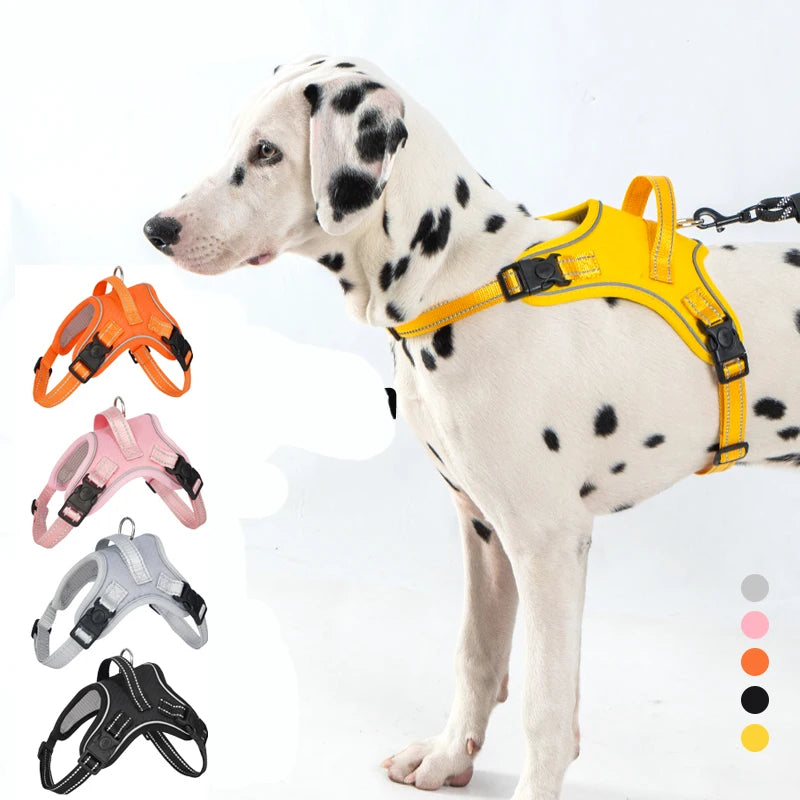 Köpek Göğüs Tasması 06725