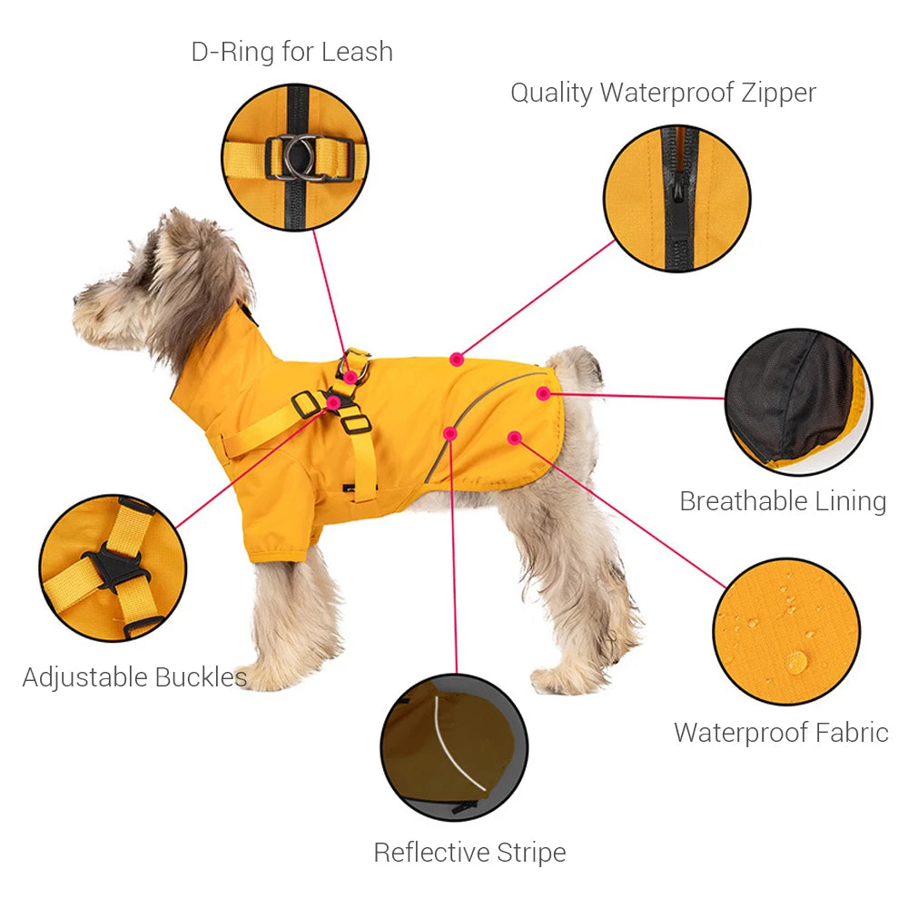 Köpek yağmurluk tasma 70488