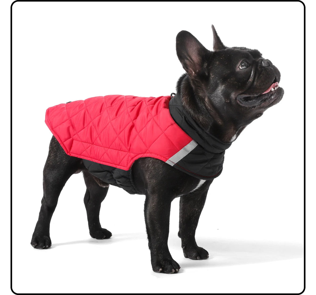 Köpek Yağmurluğu Çift Taraflı Reflective 79528