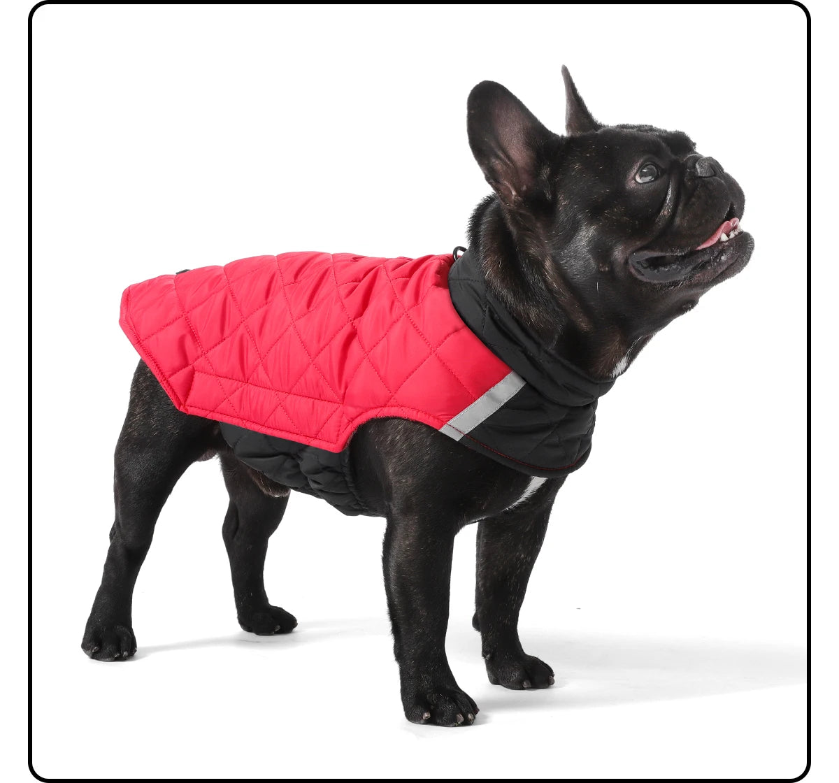 Köpek Yağmurluğu Çift Taraflı Reflective 79528